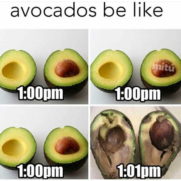 📛SOLD OUT📛 Powered By AVOCADO Crop Top - Picture 7 of 8